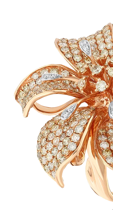 Кольца