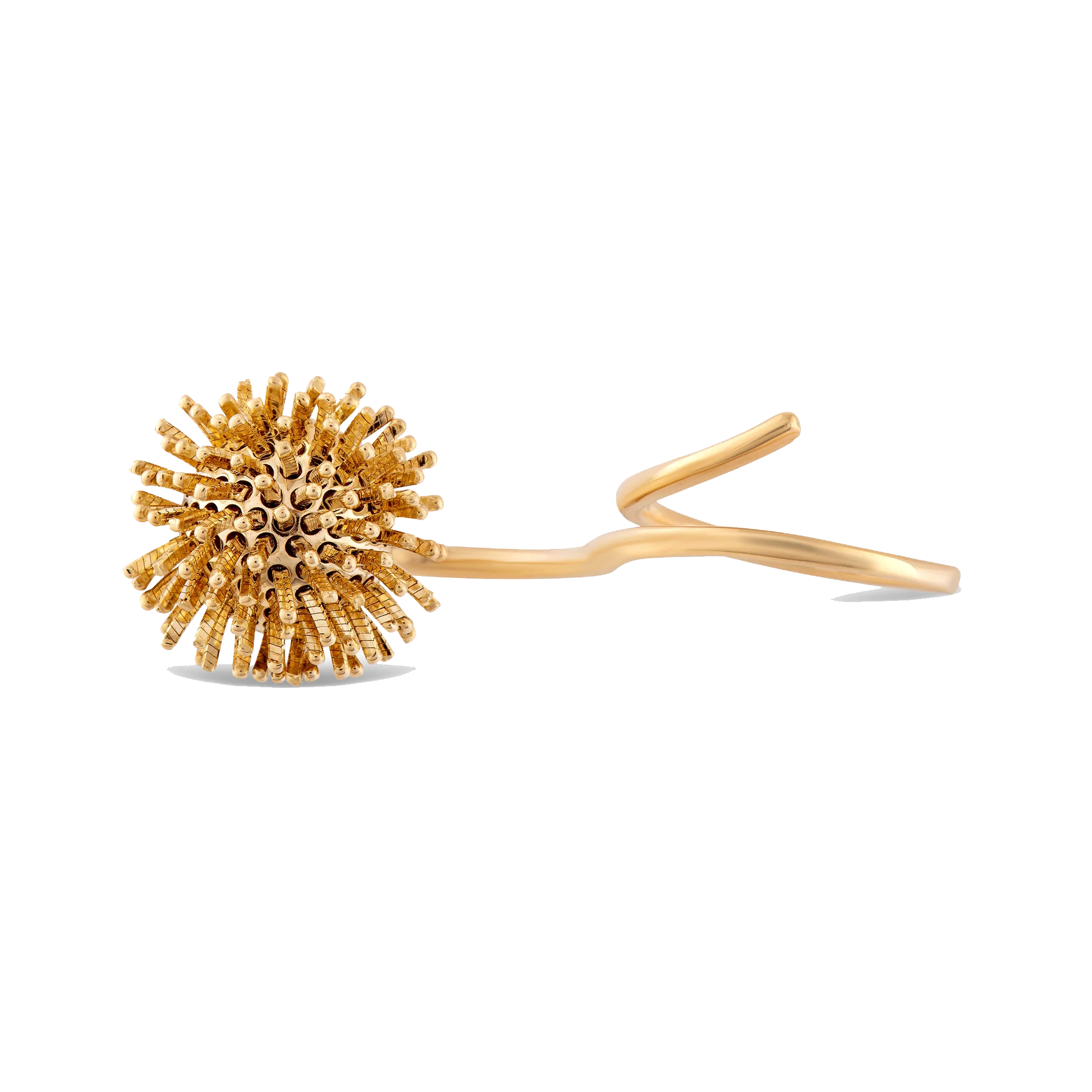 Hedgehog кольцo